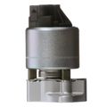 EGR Valve - Delphi EG10501