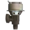 EGR Valve - Delphi EG10502