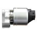 EGR Valve - Delphi EG10020