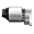 EGR Valve - Delphi EG10020