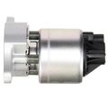 EGR Valve - Delphi EG10020