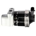 EGR Valve - Delphi EG10172