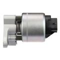 EGR Valve - Delphi EG10311