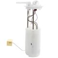 Fuel Pump Module Assembly - Delphi FG0031