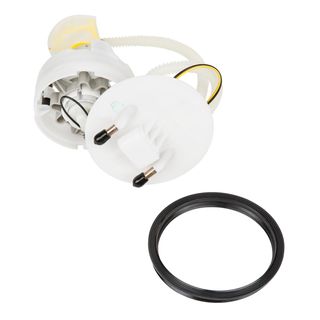 Fuel Pump Module Assembly - Delphi FG0975