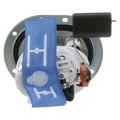 Fuel Pump Module Assembly - Delphi FG1685