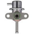 Fuel Injection Pressure Regulator - Delphi FP10413