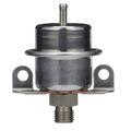 Fuel Injection Pressure Regulator - Delphi FP10487