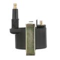 Ignition Coil - Delphi GN10609