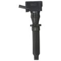 Ignition Coil - Delphi GN10725