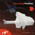 Windshield Washer Reservoir with Pump & Cap for 2013 Hyundai Elantra Coupe